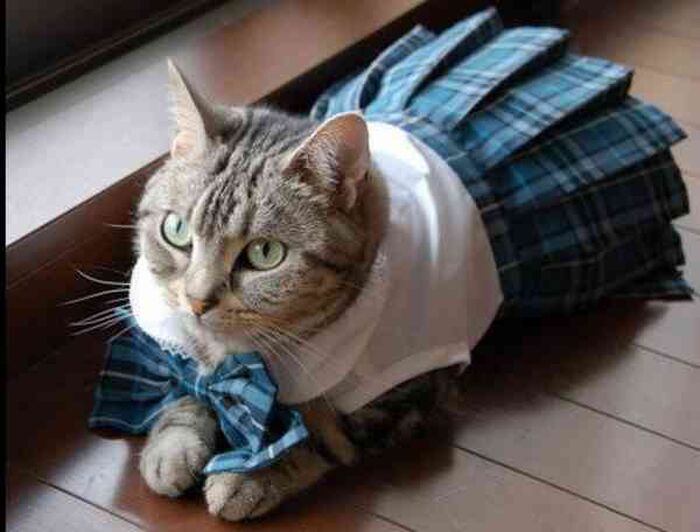 Closely adhered to the daily scenery of a playful schoolgirl wwww 7th image