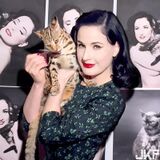 世界頂尖脫衣舞孃 dita von teese 煽情國度讓你入迷